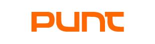 Punt Sistemes